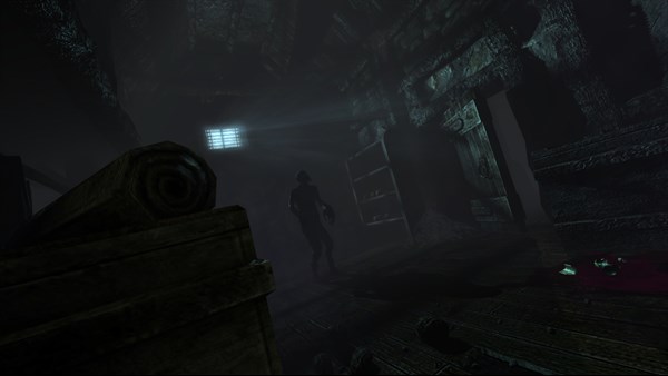 Amnesia Collection screenshot