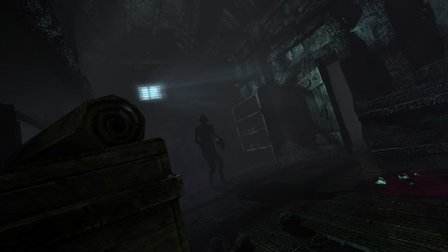 Amnesia: Collection screenshot 3