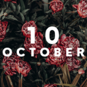 October Flower Wallpaper New Tab icon