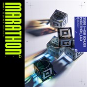 no caption available