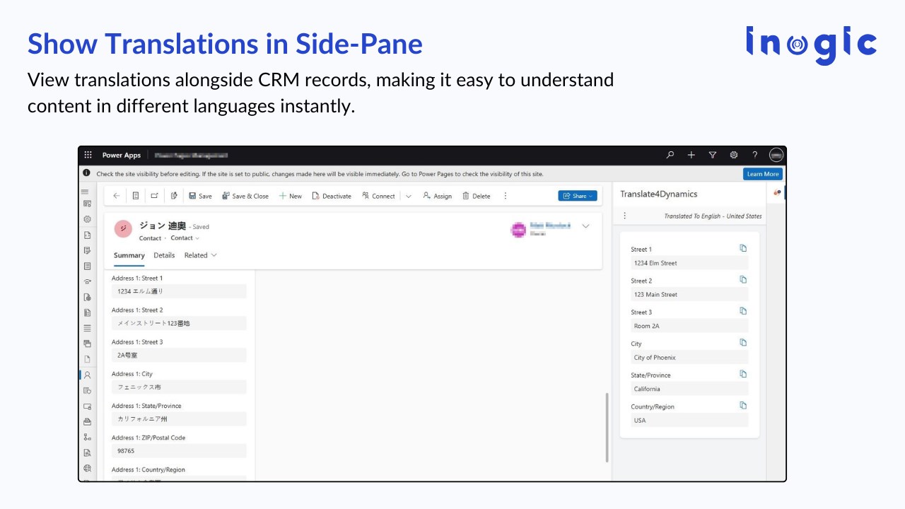 Snapshot 2 of Translate Real-Time Data in Dynamics 365 CRM - Translate4Dynamics