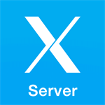 X Server