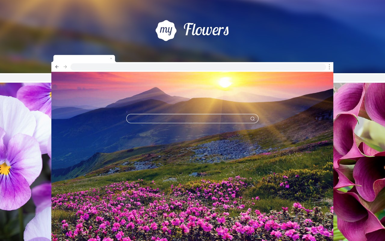 My Flowers - Romantic Flower HD Wallpapers
