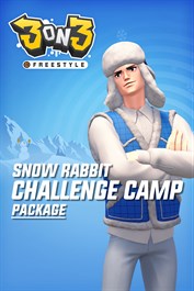 3对3街头篮球——雪兔挑戰營