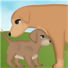 dog pregnancy games 2