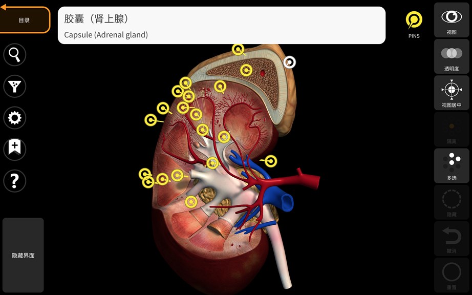 解剖学- 三维图谱- Anatomy 3D Atlas - Microsoft Apps