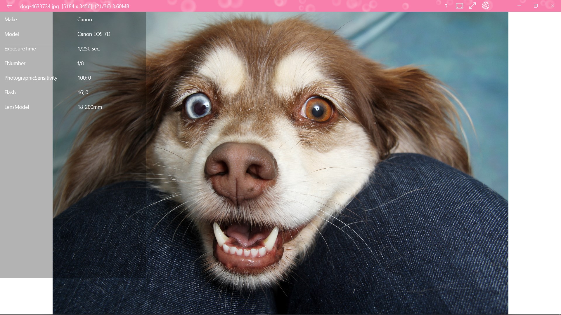 Soláthraithe Both Comharthaíochta Digiteach tSín HD Android LCD, Déantóirí  - Praghas Díreach Monarcha - PVD, image size:1920x1080