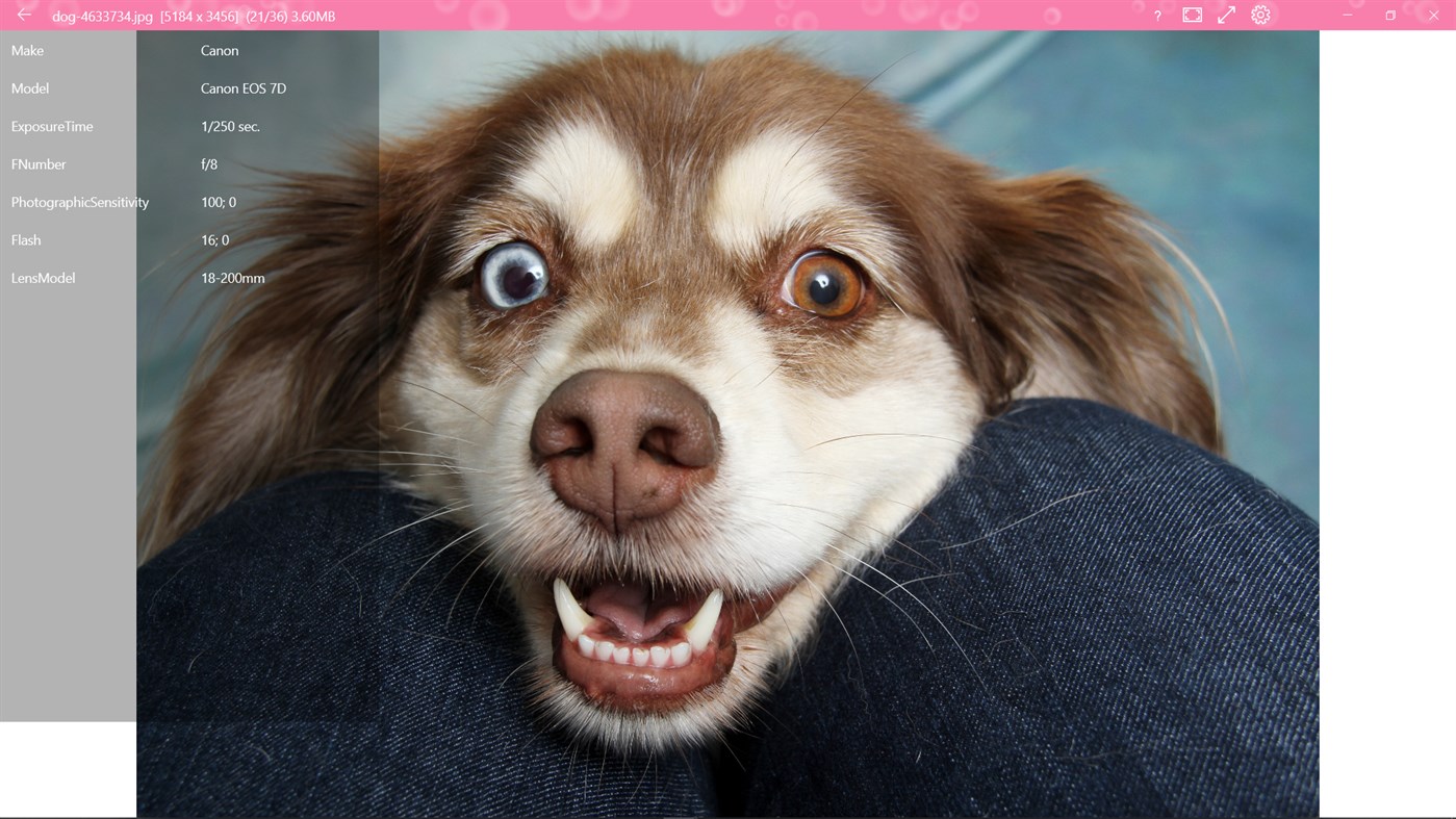 #2. 123 Photos: View, Edit & Convert (Windows) Von: dreamoji.com