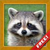 Animals for Kids, Animal Pictures Sounds Learning Games for Toddlers