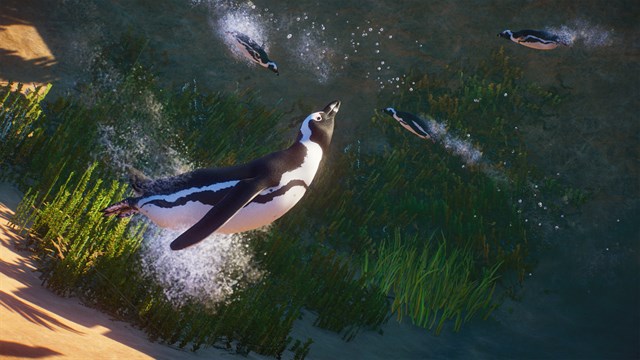 Planet Zoo: Grasslands & Africa Bundle screenshot 3