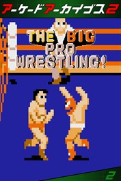 アーケードアーカイブス2 ザ・ビッグ・プロレスリング