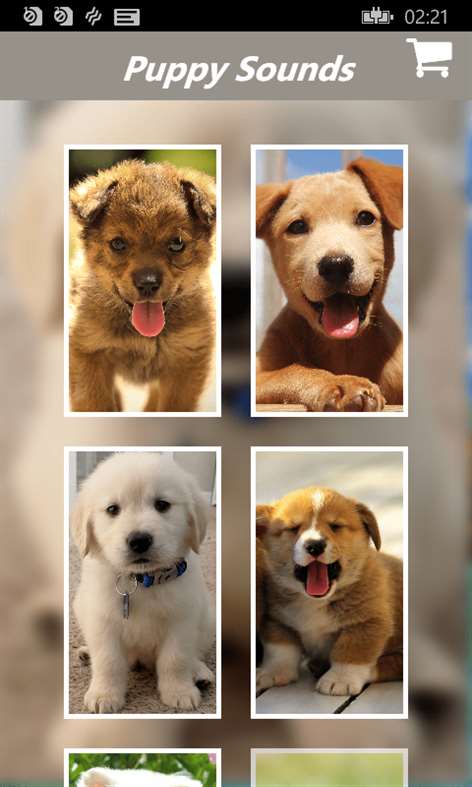 Puppy Sounds:Calming Music For Relaxation and Mind Therapy Screenshots 1