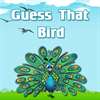 Guess That Bird