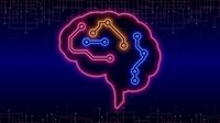 NeuroBloxs