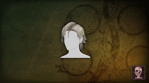 追加髪型「編纂者エリック」