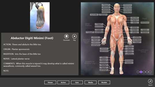 Muscle and Bone Anatomy 3D screenshot 6