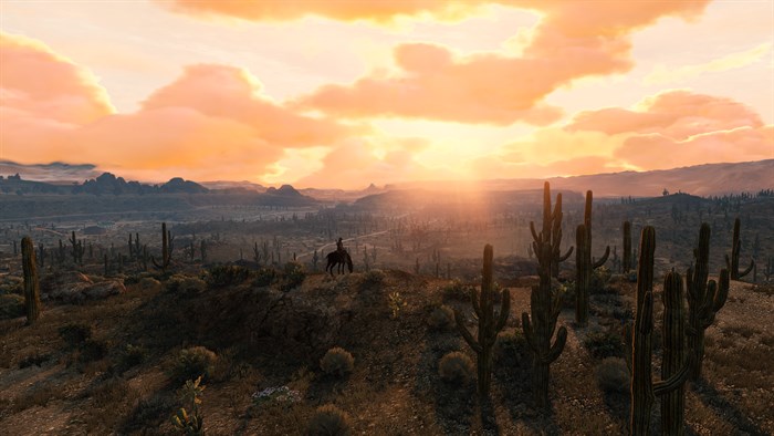 Red Dead Redemption — скриншот 3