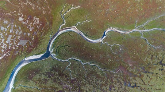 River Delta PREMIUM screenshot