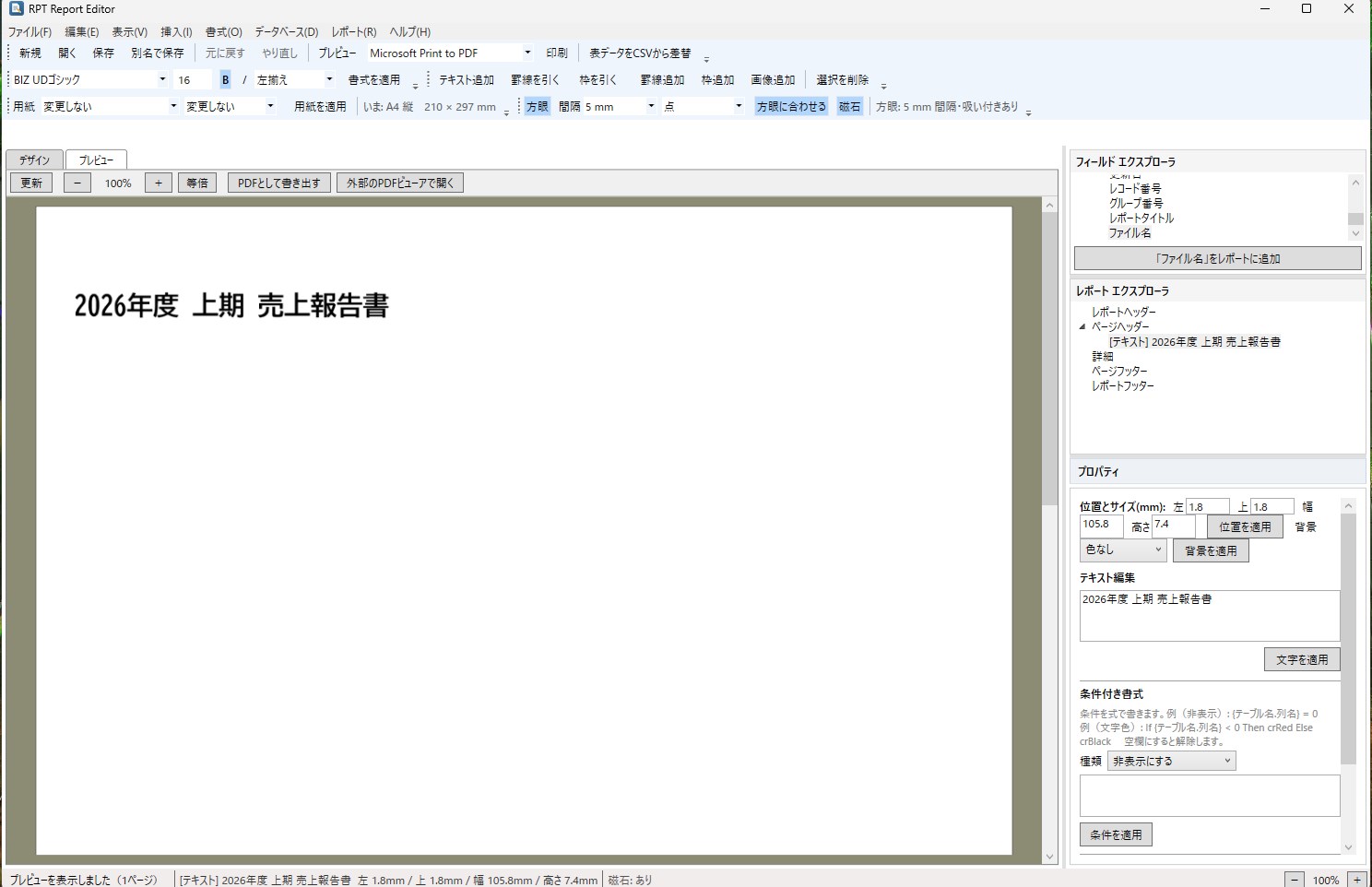 RPT Report Editor screenshot