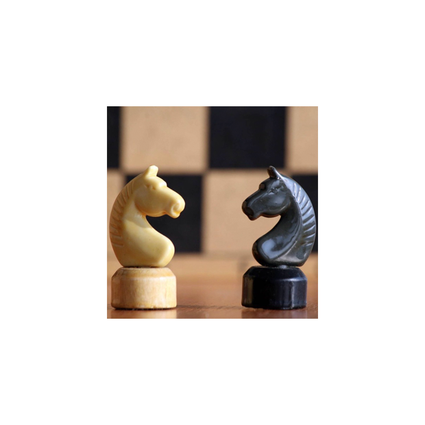Chess Master Guides
