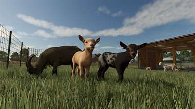 Farming Simulator 25 screenshot 2