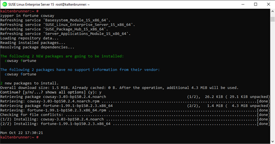 SUSE Linux Enterprise Server 15 screenshot 1