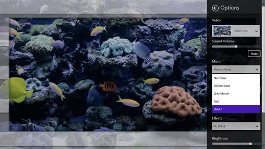 Coral Fish Aquarium screenshot 5