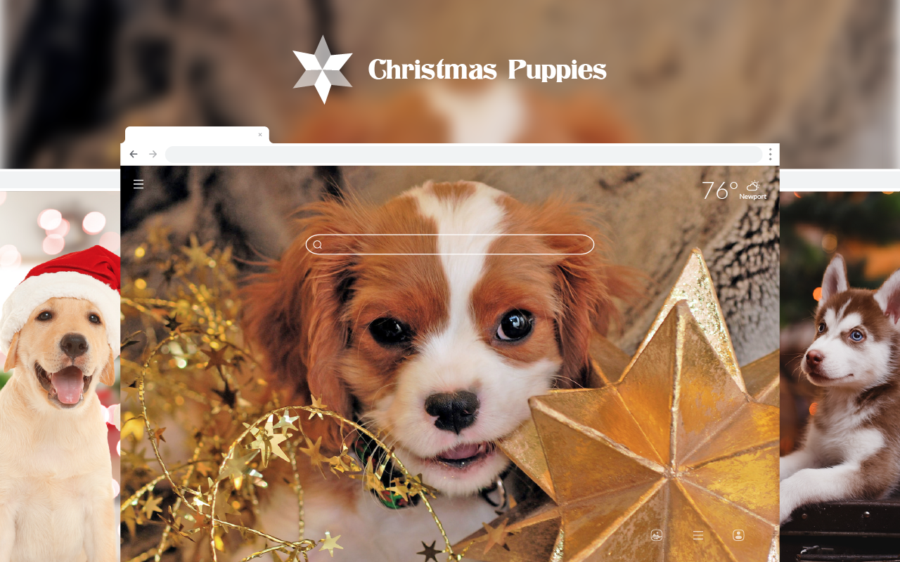 Christmas Puppies - Dog & Puppy HD Wallpapers