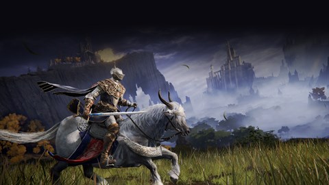 ELDEN RING Tarnished Pack