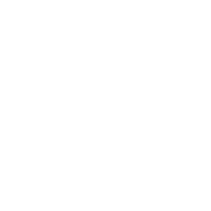 Bluebird Device Check