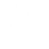 Fitness Programs