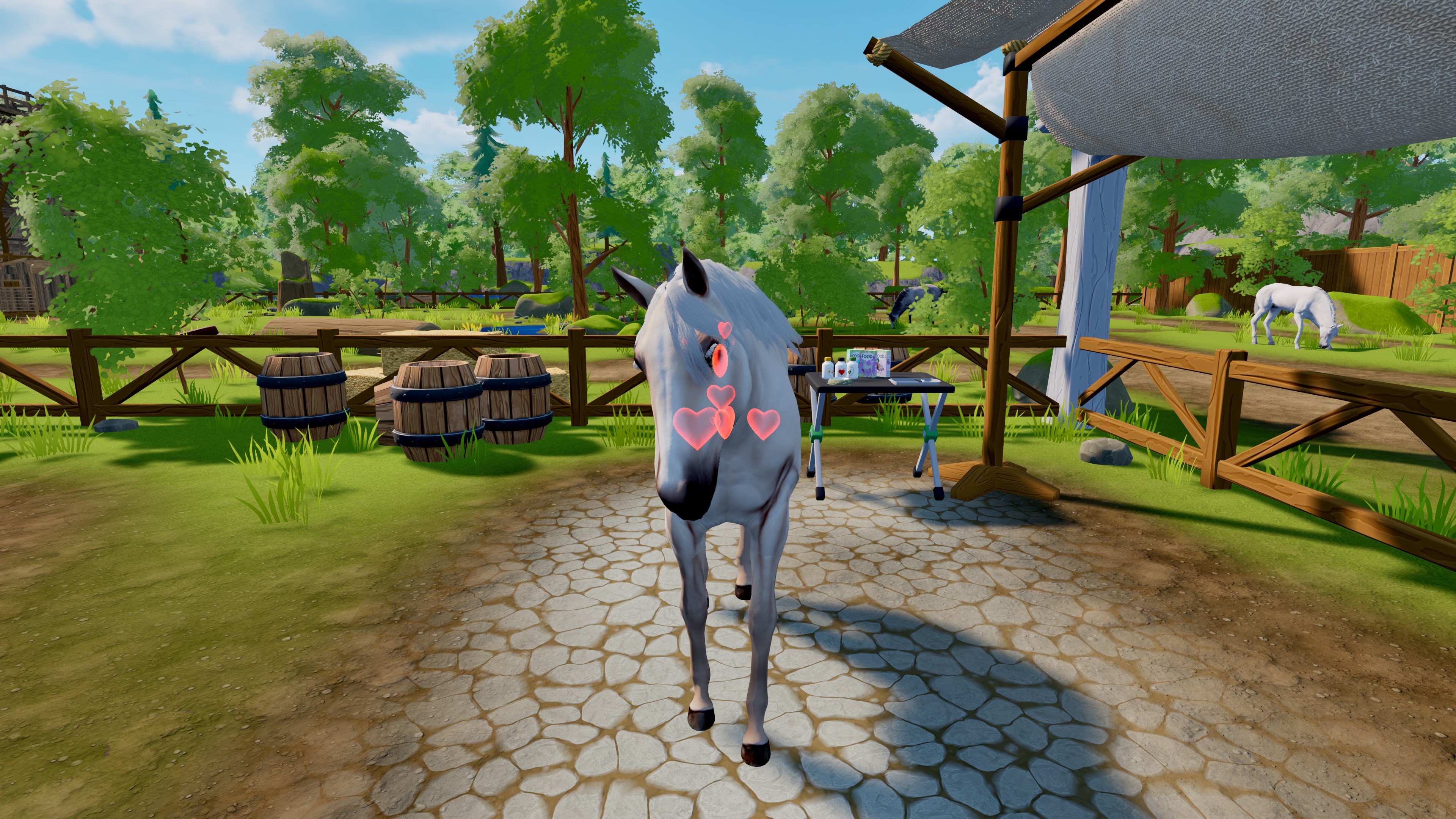 Sophia’s Animal Clinic – Mission Wildlife Park | Xbox | Chiave | Privato