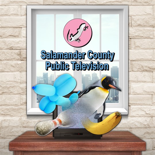 Salamander County Public Television for xbox