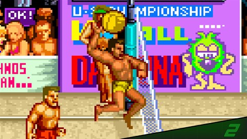 Arcade Archives 2 V'BALL