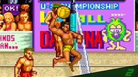 Arcade Archives 2 V'BALL