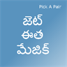 English - Telugu Pick A Pair