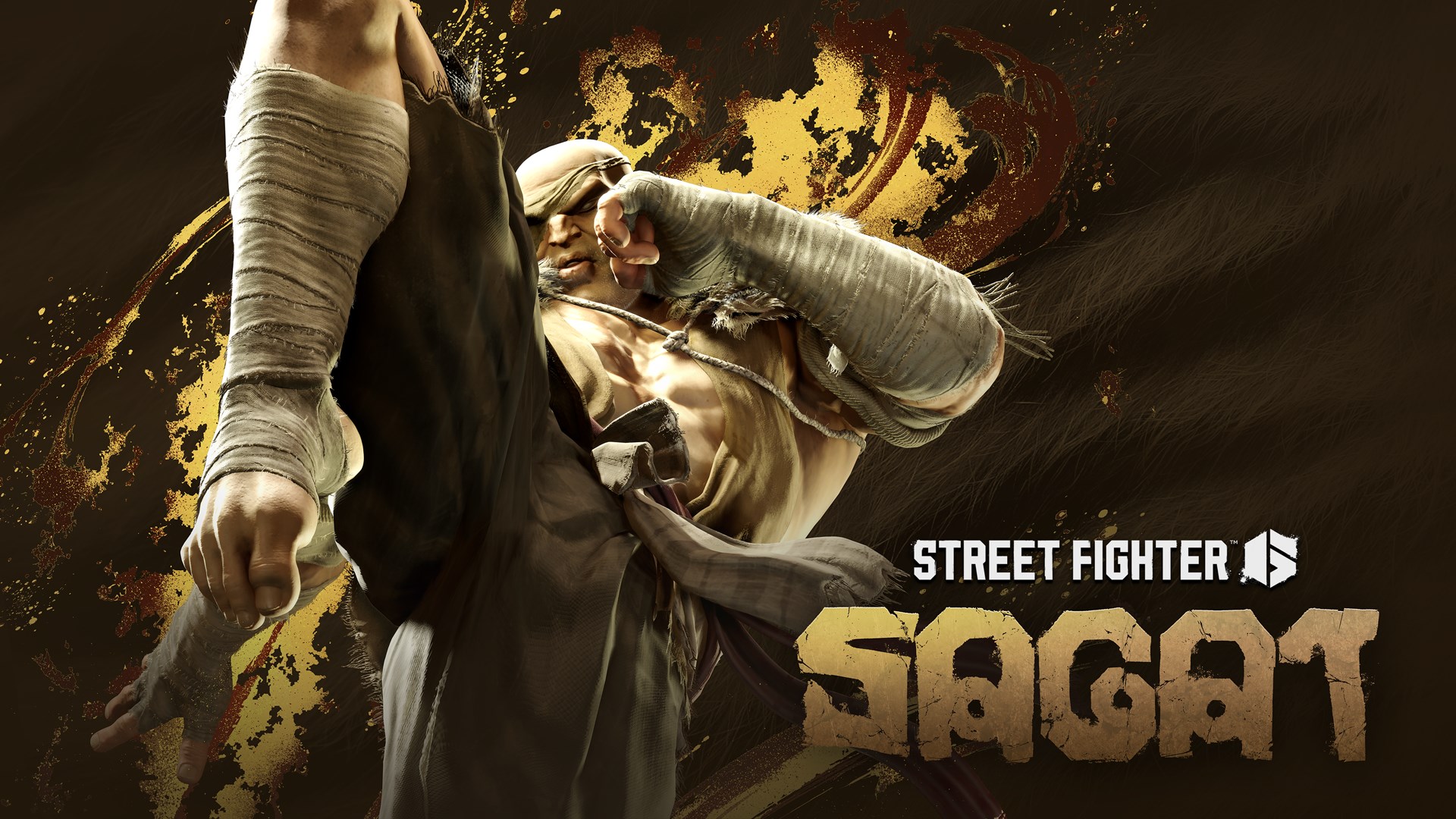 Sagat Gameplay Trailer