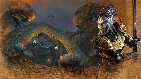 The Elder Scrolls III: Morrowind Game of the Year Edition (PC)