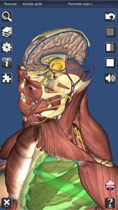 3D Human Anatomy screenshot 4