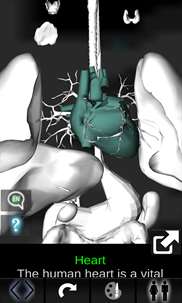 Organs 3D (Anatomy) screenshot 4