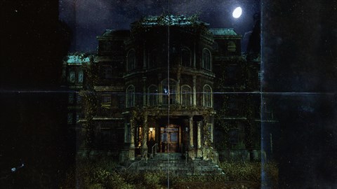 Asylum