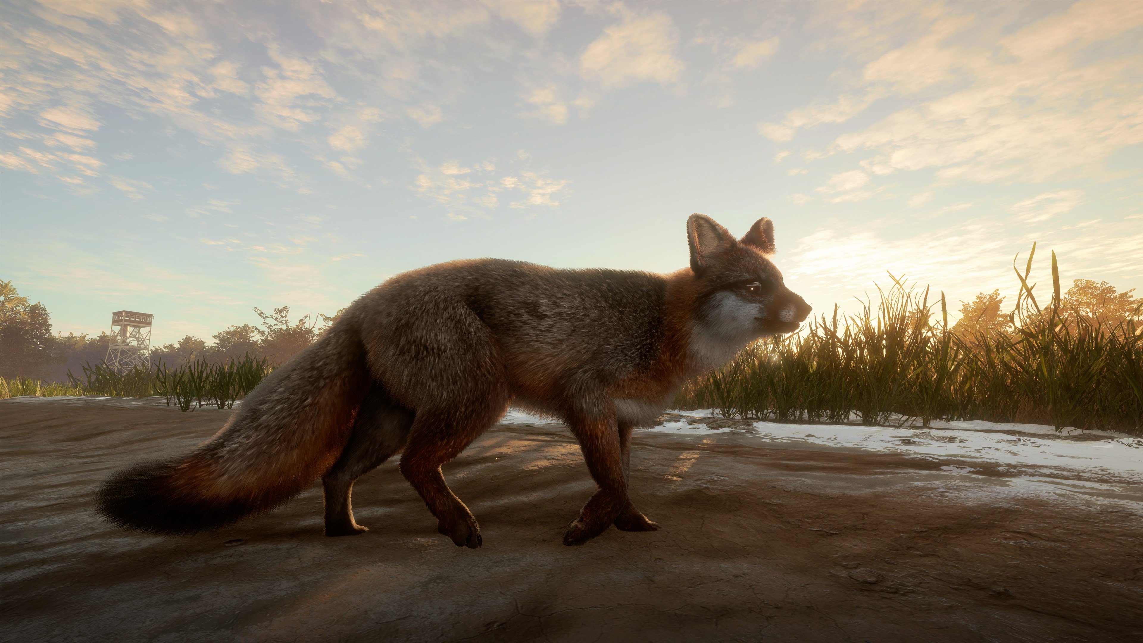 theHunter: Call of the Wild™ - Mississippi Acres Preserve - Windows 10 | Xbox | Chiave | Privato