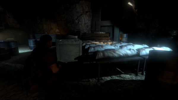 Outbreak: The Undying Collection screenshot