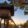 Treehouses PREMIUM