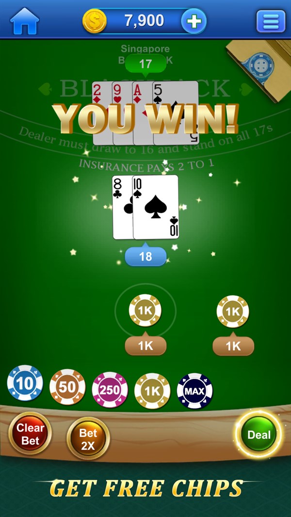 BlackJack 21 Pro! — 4