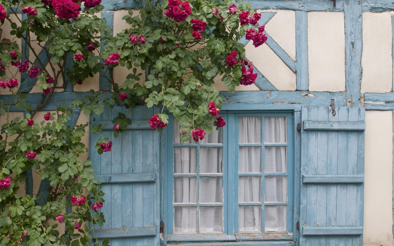 Get Bountiful Cottage Gardens Microsoft Store