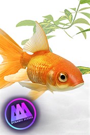 AAA Dynamic Scenes - Golden Fish Aquarium Dynamic Scene