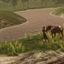 My Horse: Bonded Spirits