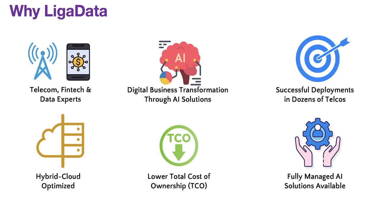 Snapshot 2 of LigaData Telecom AI Solutions Suite