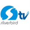 Silverbird TV